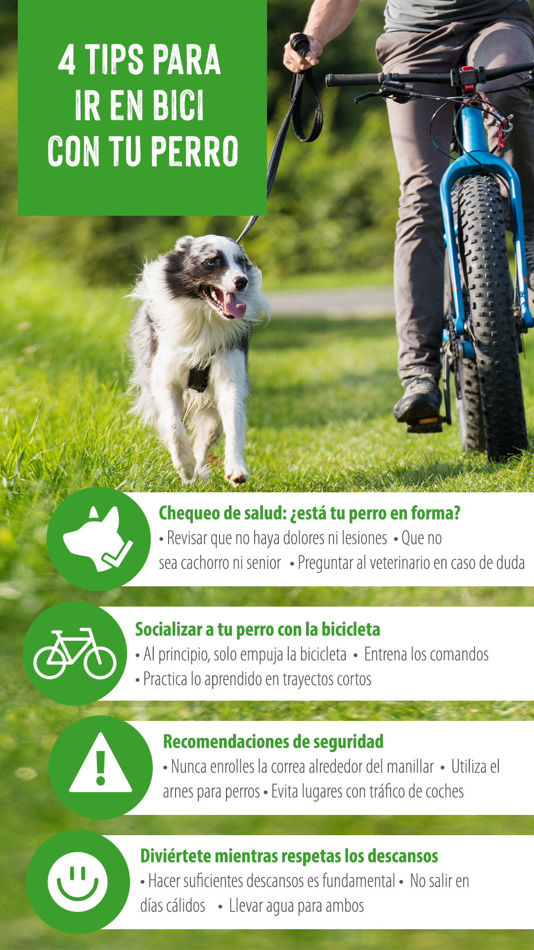 bici con perro