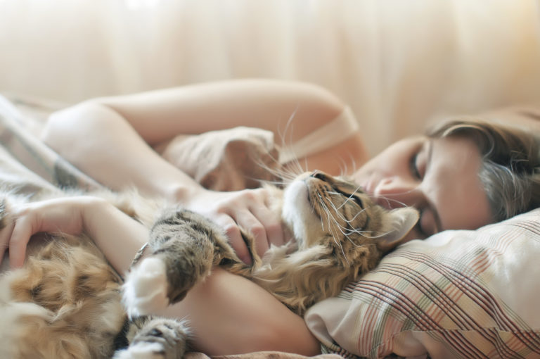 Nuevo significado Esplendor Absorber Es bueno dormir con el gato? 🐱 | Adoptar un gato | zooplus