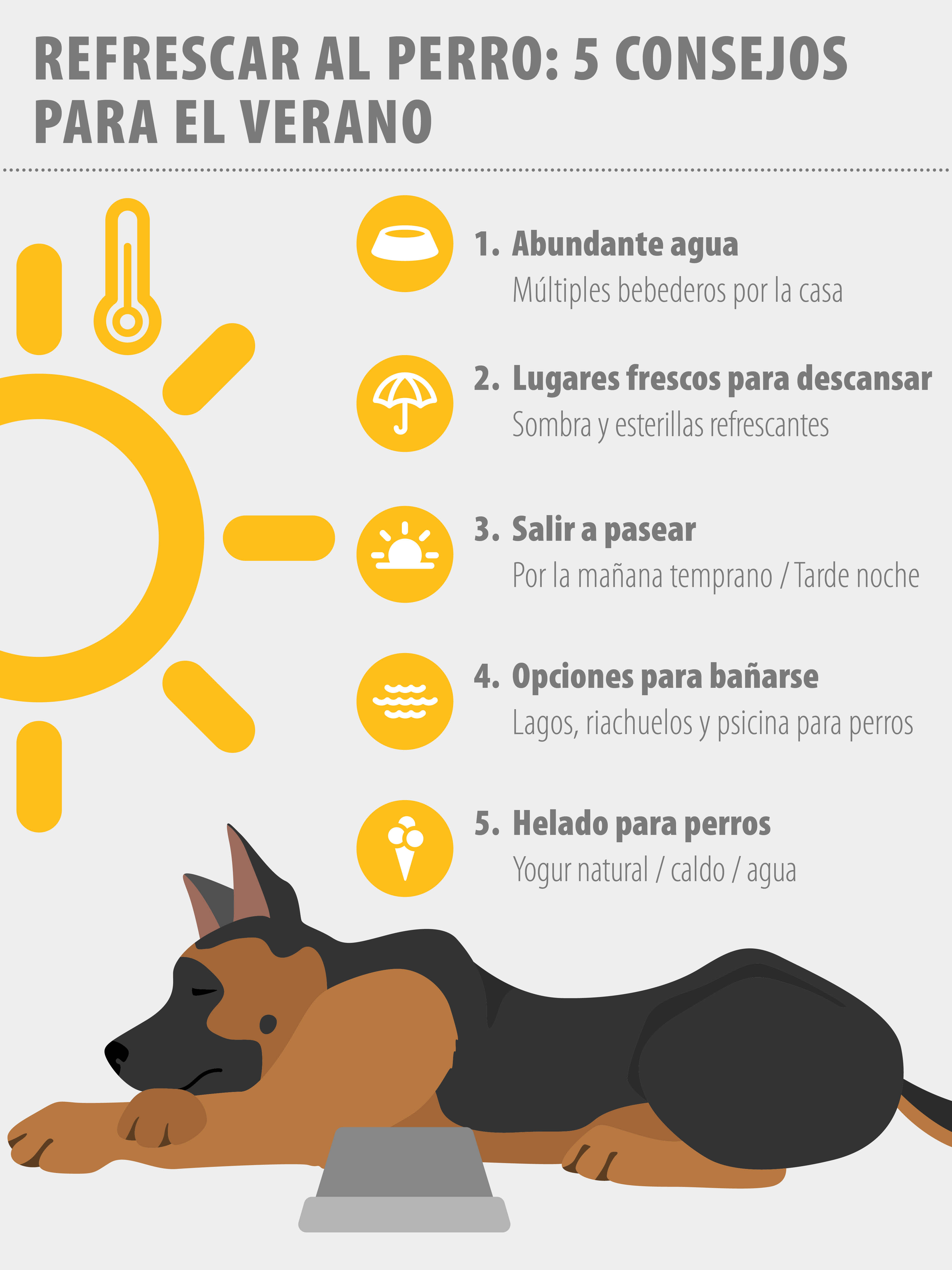 golpe de calor en perros