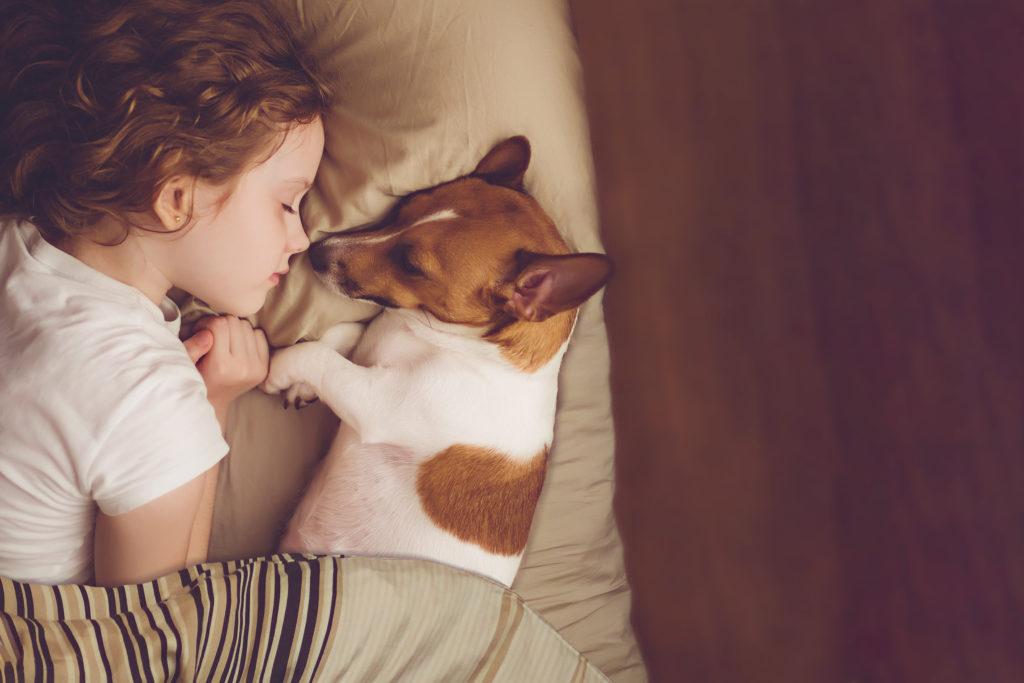 perros y niños