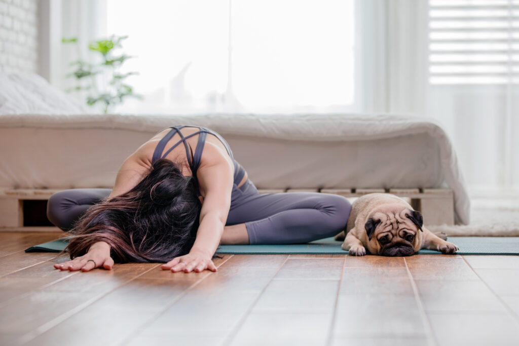 yoga para perros