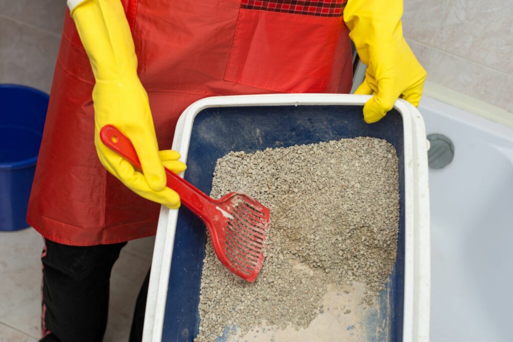 Cómo limpiar la caja de arena del gato