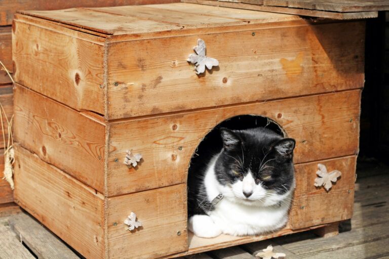 Cómo construir una caseta para el gato?