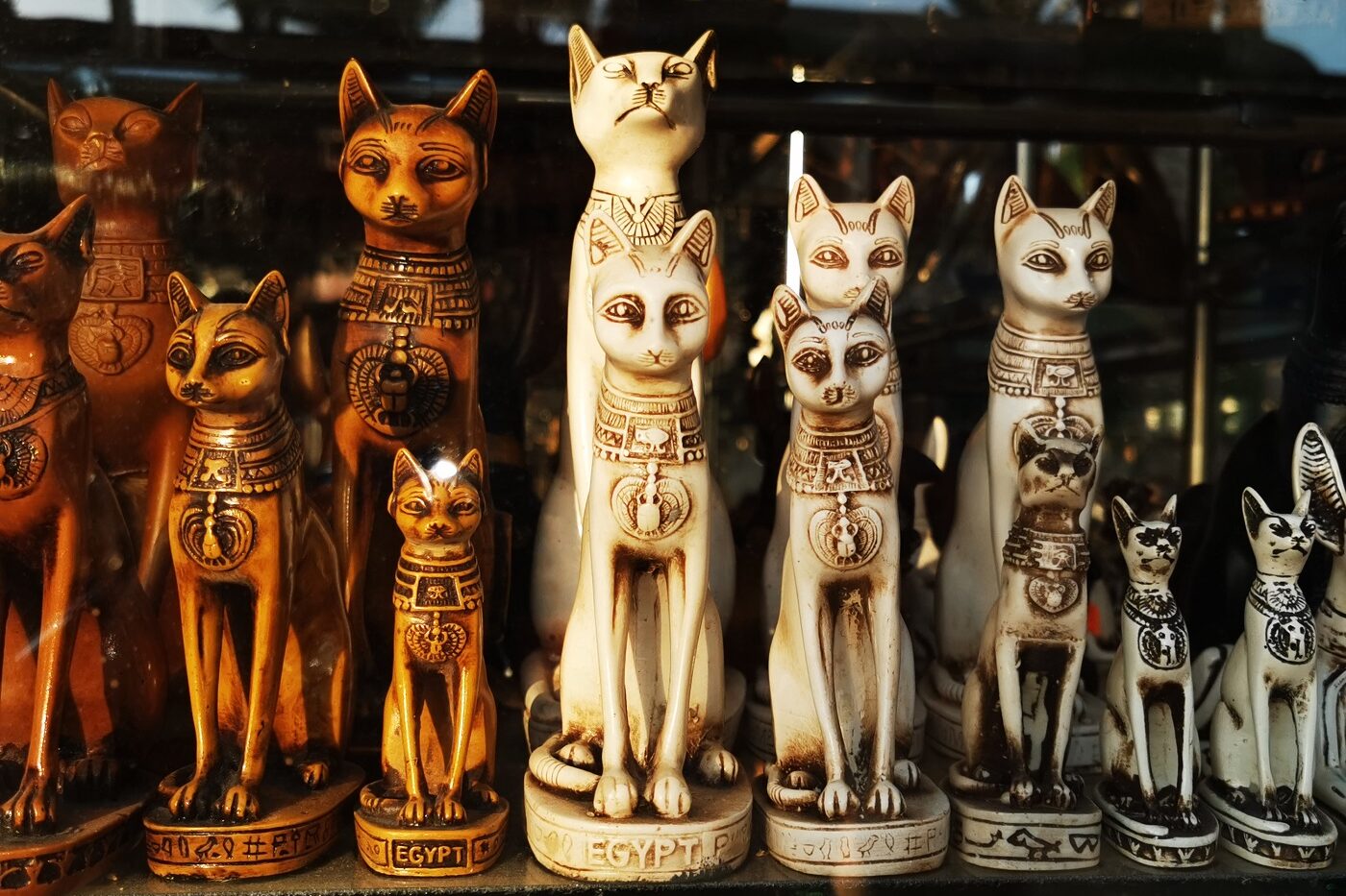 gatos en Egipto