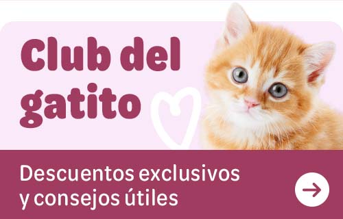 Club del gatito